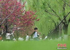 间株杨柳间株桃 西湖春天醉游人